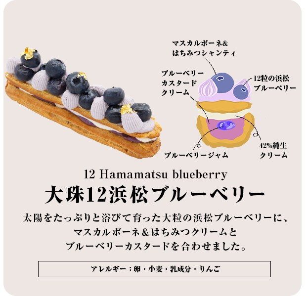 浜松ブルーベリー