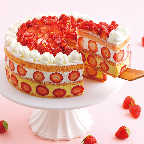 Mt Cake お菓子 浜松のお菓子処 春華堂