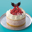 クリスマスアイスケーキ_ストロベリー