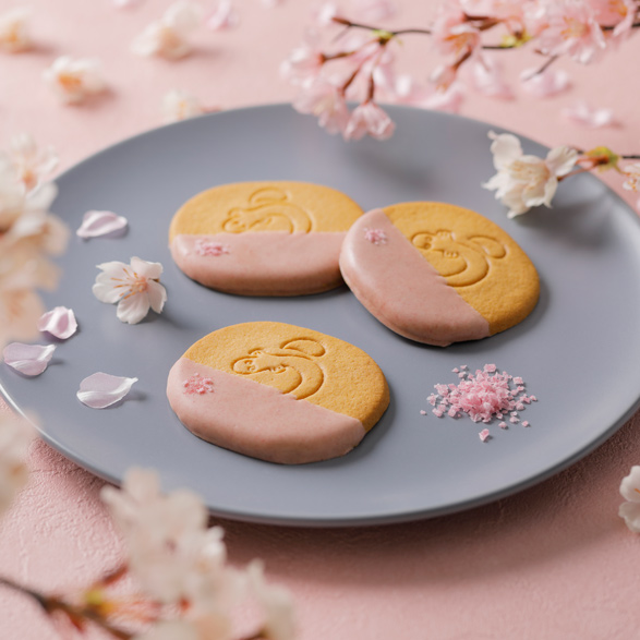 うなぎサブレさくらチョコ