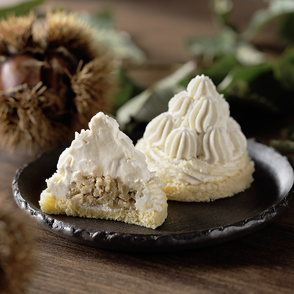 WAGURIシャンティ