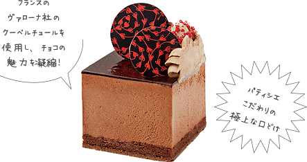 シルクチョコレートケーキ