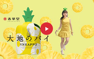 アドギャラリー お菓子 浜松のお菓子処 春華堂