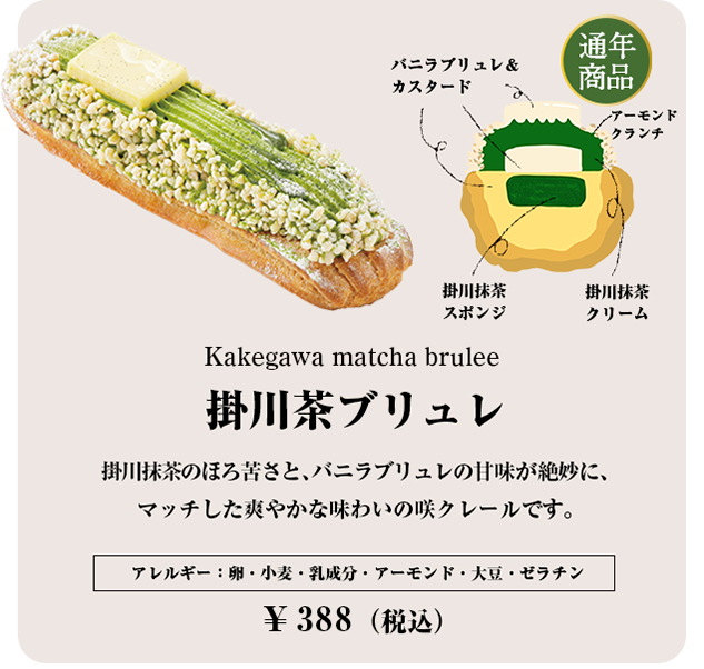 掛川茶