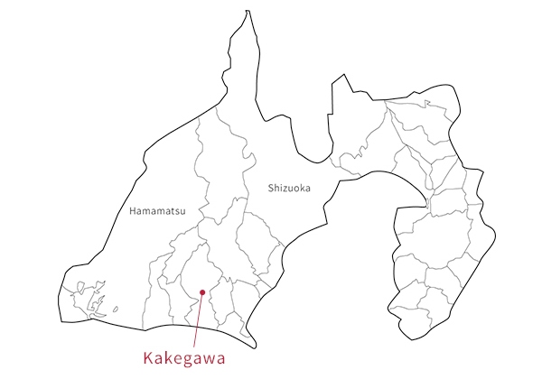 世界四大栗の1つである和栗